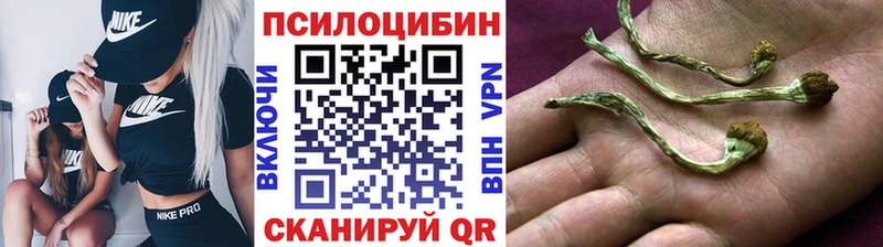 Галлюциногенные грибы Magic Shrooms  Александровское 